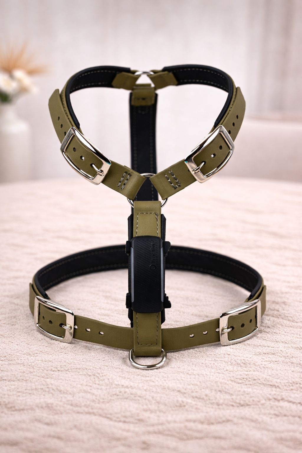 BioThane® Geschirre