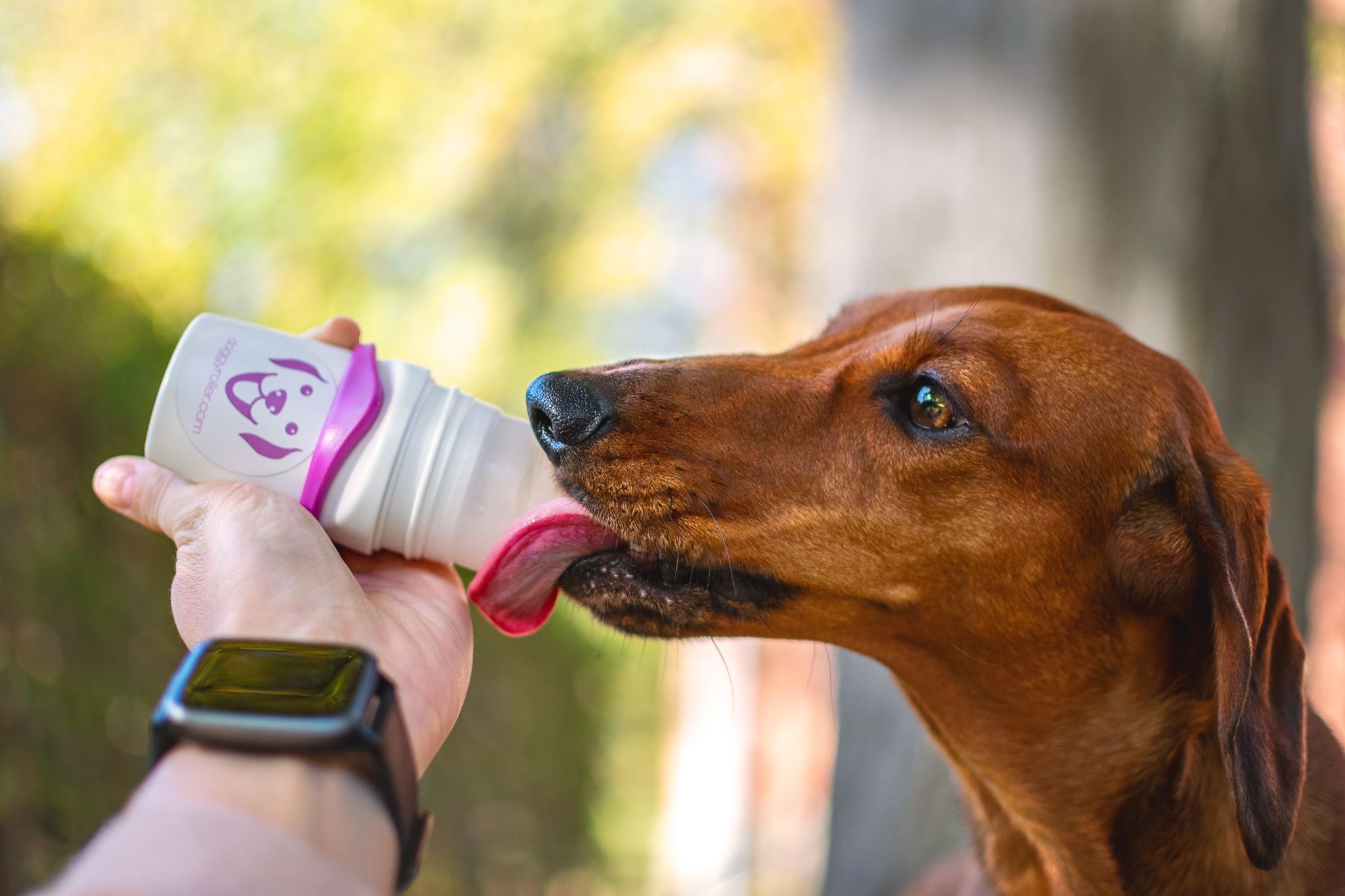 Schleckmatten, Doggyroller & Co