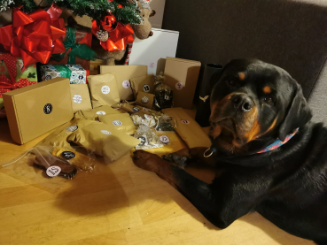 Adventskalender Hund 2026
