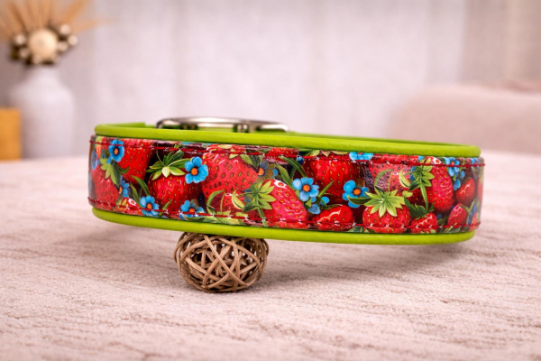 Biothane Leder Motiv Halsband "Erdbeeren"