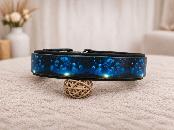 Biothane Motiv Halsband Double "Constellation Dogs"