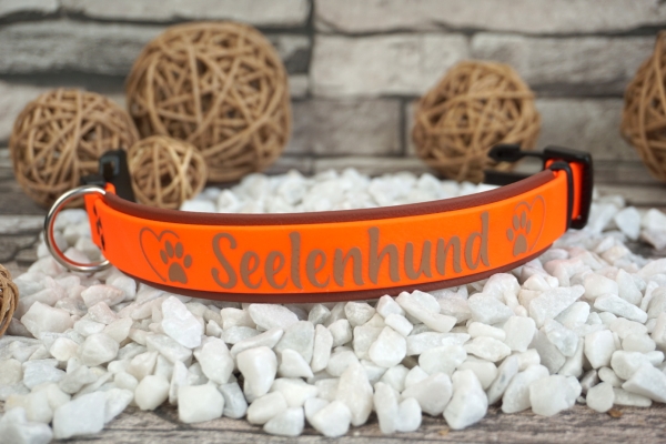 Biothane Halsband Double 25mm (Steckschnalle)